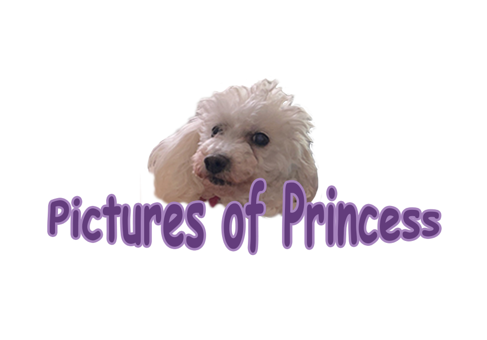 Logo that says Pictures of Princess